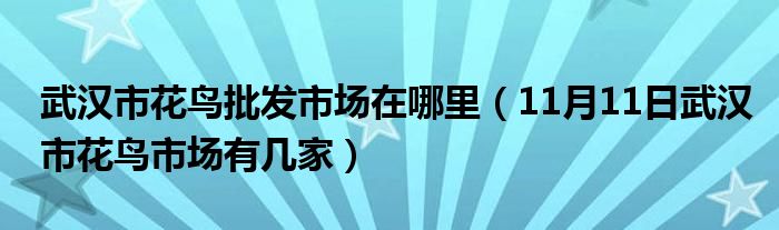 武汉市花鸟批发市场在哪里（11月11日武汉市花鸟市场有几家）