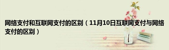 网络支付和互联网支付的区别（11月10日互联网支付与网络支付的区别）