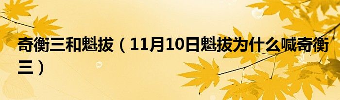 奇衡三和魁拔（11月10日魁拔为什么喊奇衡三）