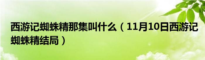 西游记蜘蛛精那集叫什么（11月10日西游记蜘蛛精结局）