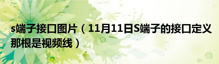 s端子接口图片（11月11日S端子的接口定义那根是视频线）