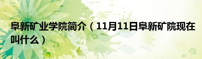 阜新矿业学院简介（11月11日阜新矿院现在叫什么）