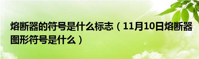 熔断器的符号是什么标志（11月10日熔断器图形符号是什么）