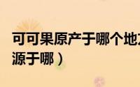 可可果原产于哪个地方?（11月10日可可果来源于哪）