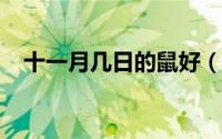 十一月几日的鼠好（11月11日鼠字笔顺）
