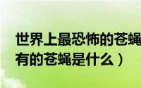 世界上最恐怖的苍蝇（10月08日世界上最稀有的苍蝇是什么）