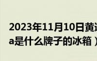 2023年11月10日黄道吉日（11月10日muma是什么牌子的冰箱）