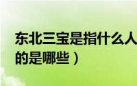 东北三宝是指什么人（11月11日东北三宝指的是哪些）