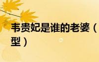 韦贵妃是谁的老婆（11月11日韦贵妃历史原型）