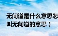 无间道是什么意思怎样解词（11月11日什么叫无间道的意思）