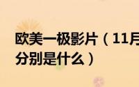 欧美一极影片（11月10日欧美影片分级制度分别是什么）