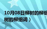 10月08日柳树的柳组词怎么写（10月08日柳树的柳组词）
