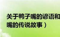 关于鸭子嘴的谚语和歇后语（11月10日鸭子嘴的传说故事）