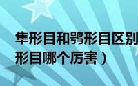 隼形目和鸮形目区别（11月11日鸮形目和隼形目哪个厉害）