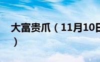 大富贵爪（11月10日大富贵怎么养怎么保养）
