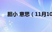 胆小 意思（11月10日胆小是什麽意思）