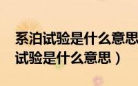 系泊试验是什么意思（11月10日舾装和系泊试验是什么意思）