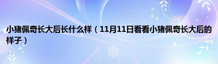 小猪佩奇长大后长什么样（11月11日看看小猪佩奇长大后的样子）