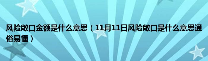 风险敞口金额是什么意思（11月11日风险敞口是什么意思通俗易懂）