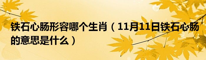 铁石心肠形容哪个生肖（11月11日铁石心肠的意思是什么）