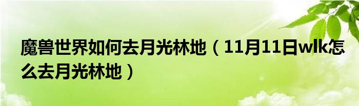 魔兽世界如何去月光林地（11月11日wlk怎么去月光林地）