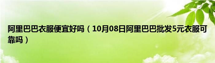 阿里巴巴衣服便宜好吗（10月08日阿里巴巴批发5元衣服可靠吗）