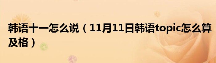 韩语十一怎么说（11月11日韩语topic怎么算及格）