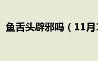 鱼舌头辟邪吗（11月11日鱼舌头有什么用）