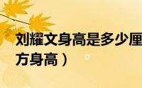 刘耀文身高是多少厘米（10月08日刘耀文官方身高）
