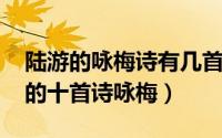 陆游的咏梅诗有几首（11月11日陆游最著名的十首诗咏梅）