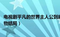 电视剧平凡的世界主人公到底是谁（11月11日平凡的世界人物结局）