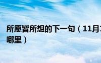 所愿皆所想的下一句（11月11日所想皆所愿所愿皆所得出自哪里）