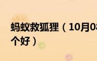 蚂蚁救狐狸（10月08日蚂蚁和狐狸的甩棍哪个好）