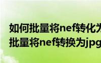 如何批量将nef转化为jpg（11月11日ps怎么批量将nef转换为jpg）