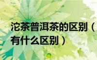 沱茶普洱茶的区别（10月08日沱茶和普洱茶有什么区别）