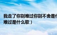我走了你别难过你别不舍是什么歌（11月12日我走后你别太难过是什么歌）