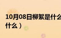 10月08日柳絮是什么节日（10月08日柳絮是什么）