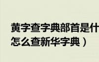 黄字查字典部首是什么（11月11日黄字部首怎么查新华字典）