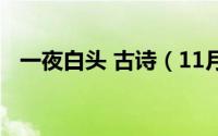 一夜白头 古诗（11月11日一夜白头典故）