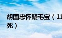 胡国忠怀疑毛宝（11月11日老虎队胡国忠之死）