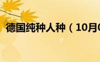德国纯种人种（10月08日纯种德国人特点）
