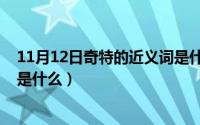 11月12日奇特的近义词是什么词（11月12日奇特的近义词是什么）
