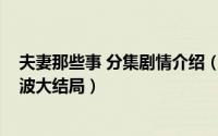 夫妻那些事 分集剧情介绍（10月08日夫妻那些事安娜夏宁波大结局）