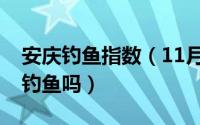 安庆钓鱼指数（11月12日安庆一竿一线可以钓鱼吗）