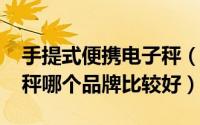 手提式便携电子秤（11月12日手提便携电子秤哪个品牌比较好）