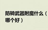 防骑武器附魔什么（10月08日防骑武器附魔哪个好）