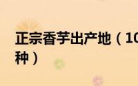 正宗香芋出产地（10月08日世界十大香芋品种）