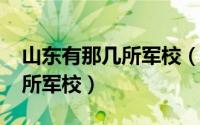 山东有那几所军校（11月12日山东以前有几所军校）