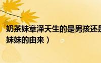 奶茶妹章泽天生的是男孩还是女孩（10月08日章泽天叫奶茶妹妹的由来）