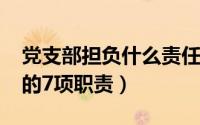 党支部担负什么责任（11月12日党支部担负的7项职责）